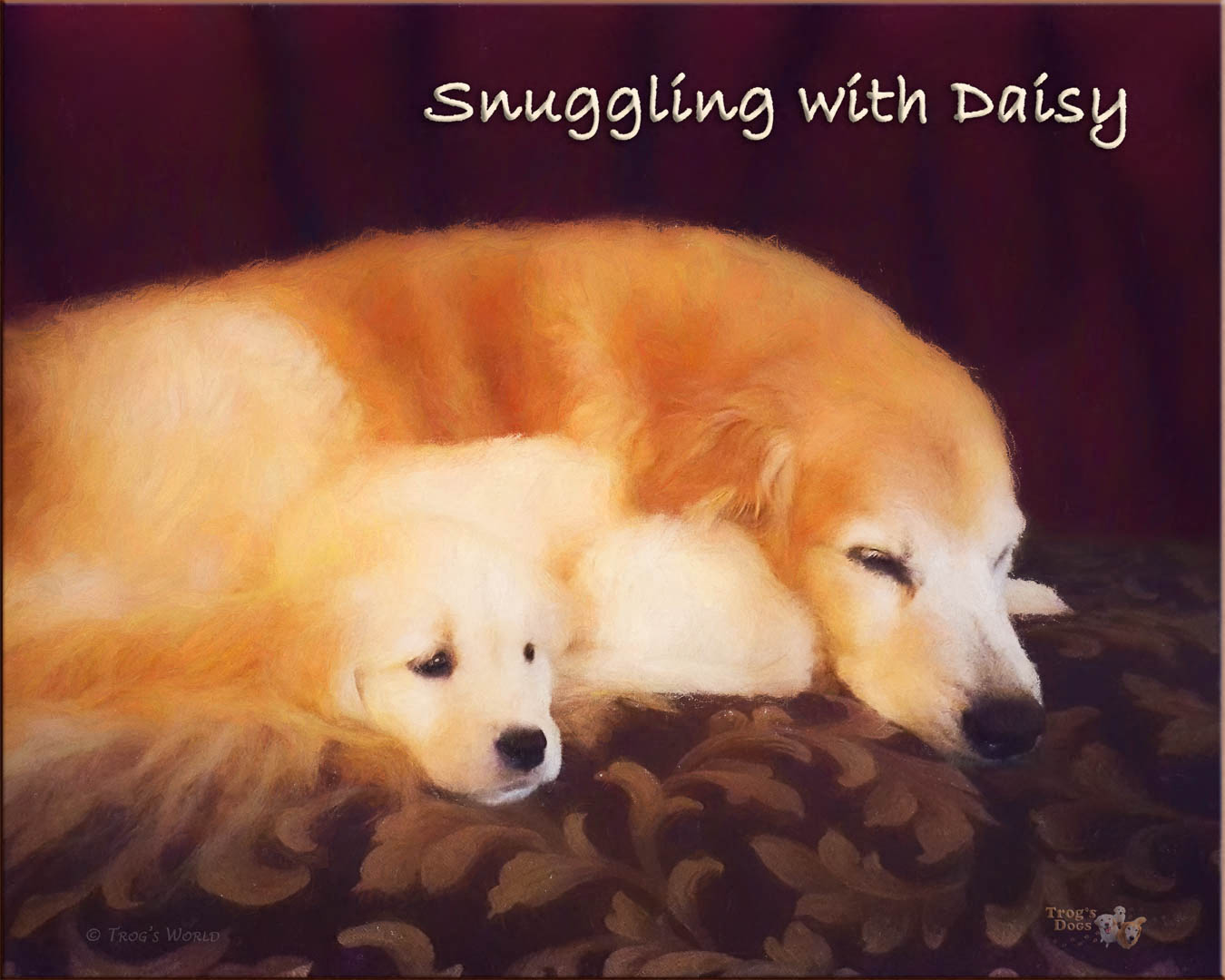 Golden retriever puppy snuggles with her older sister