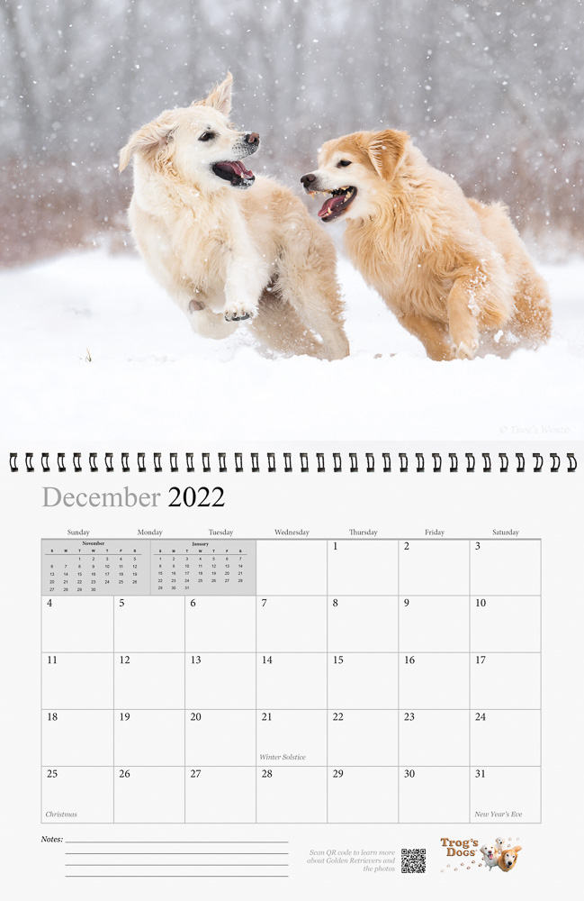 Trog's Dogs - Golden Retrievers Wall Calendar 2023