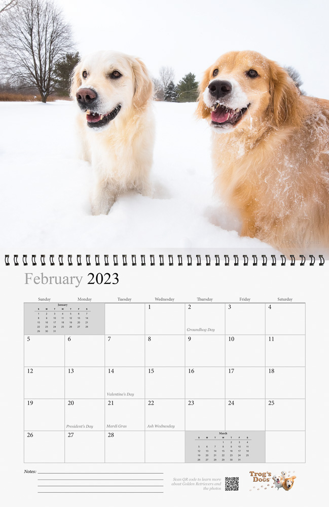 Trog's Dogs - Golden Retrievers Wall Calendar 2023