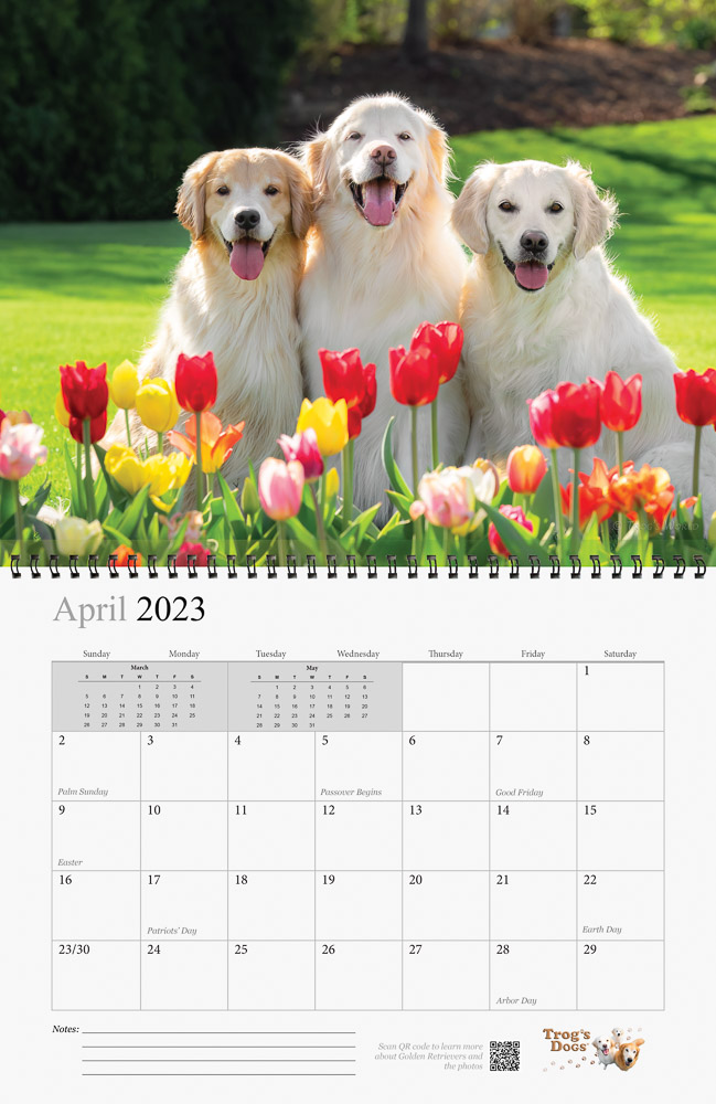 Trog's Dogs - Golden Retrievers Wall Calendar 2023