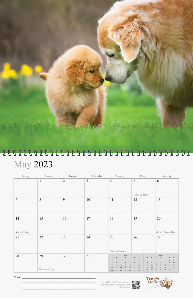 Trog's Dogs - Golden Retrievers Wall Calendar 2023