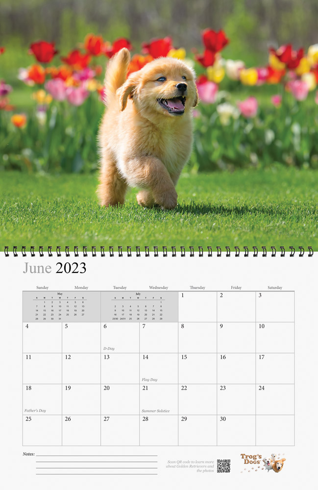 Trog's Dogs - Golden Retrievers Wall Calendar 2023