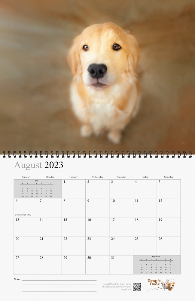 Trog's Dogs - Golden Retrievers Wall Calendar 2023